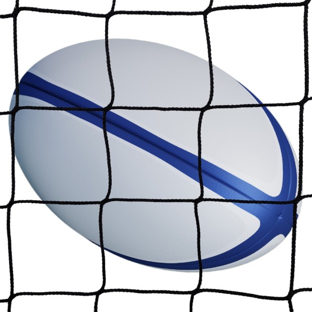 Filet clôture pare ballon - Rugby