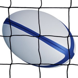 Rete di recinzione par palloni - Rugby