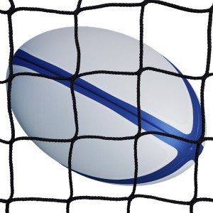 Rete di recinzione par palloni - Rugby