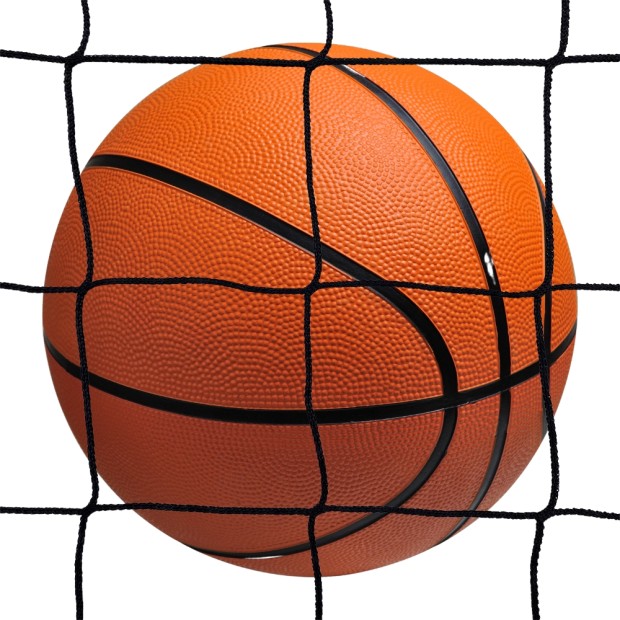 Rede de vedação para bolas — Basquetebol