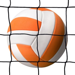 Ballfangzaun für Volleyball