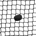 Schutznetz – Hockey