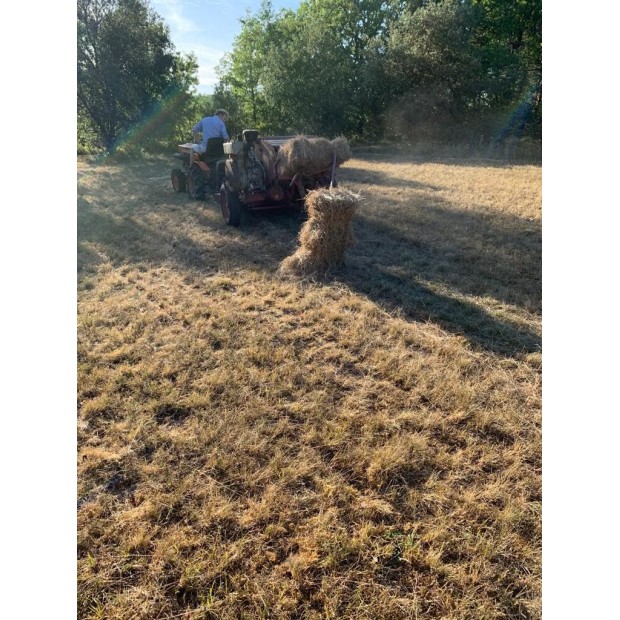 Cuerda de sisal pita trenzada – La Tendeta del Cuero