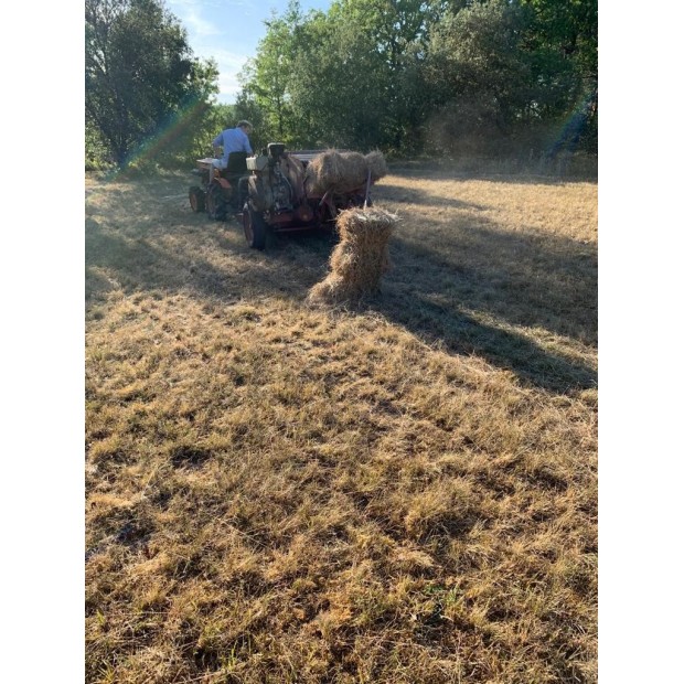 Intérieur du sac de ficelle sisal agricole 330 sac de 6 pelotes 25 KG