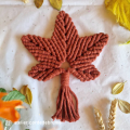 Coton macramé peigné - FR