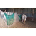 Hay net "bag" shape camel 1x1m