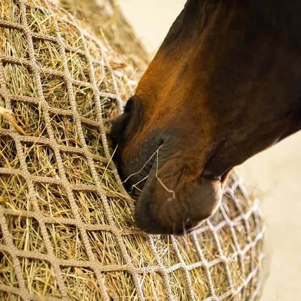 Heunetz – Sackform