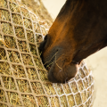 Hay net - Bag