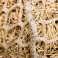 Rete per il fieno - Forma a sacco