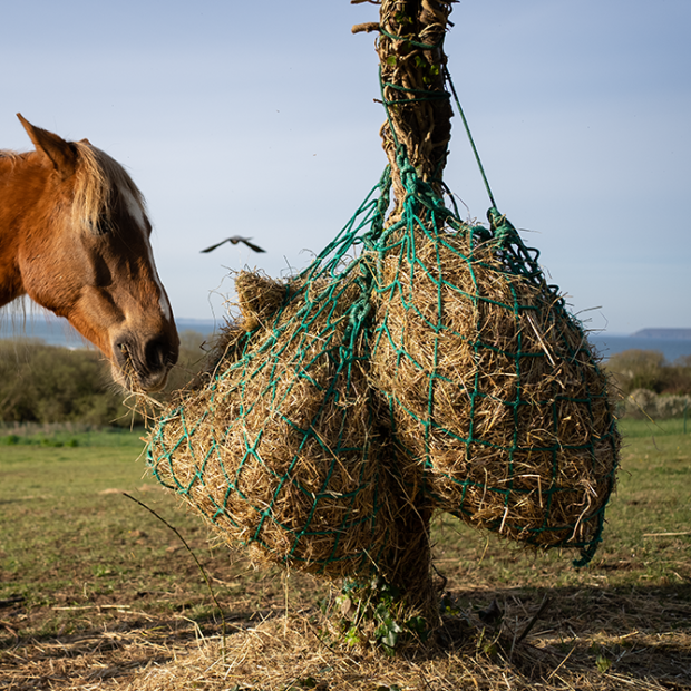 Hay net - Bag