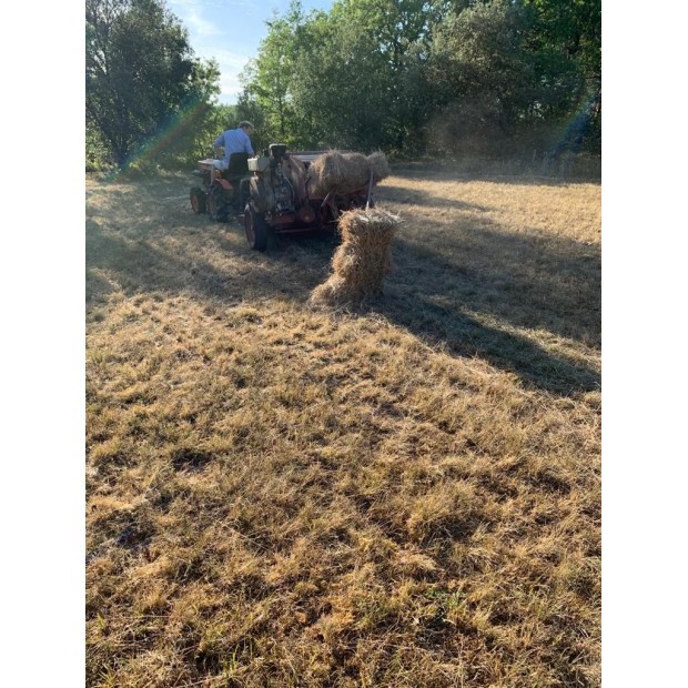 Landwirtschaftliche Sisalschnur 370