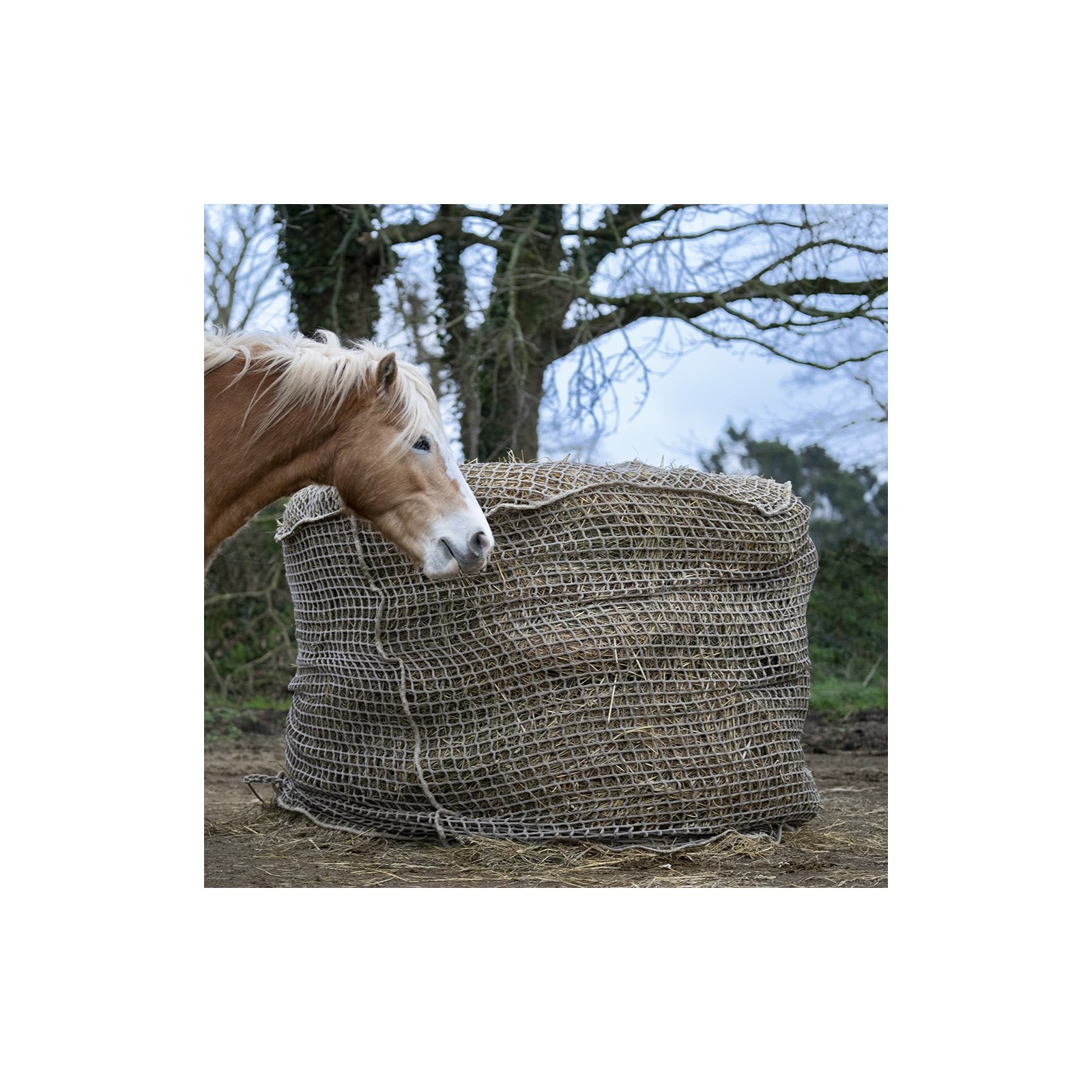 Haynet Extra Strong Rete Per Fieno Con Fori Piccoli (1,5-2 Pollici) - Ballone Rotondo Da 1,2 M Per Cavalli, Colore Nero
