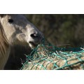 Hay net - Round bales