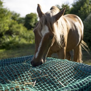 Hay net - Rectangular