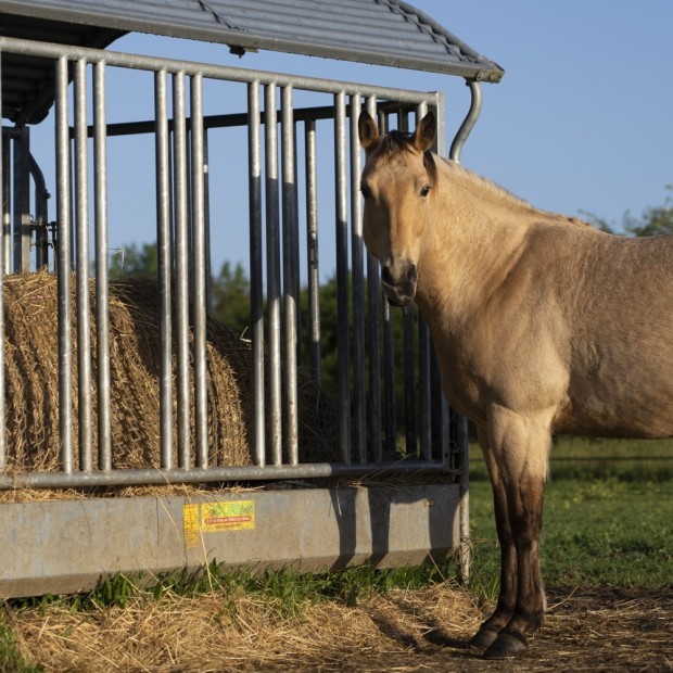 Hay net - Rectangular