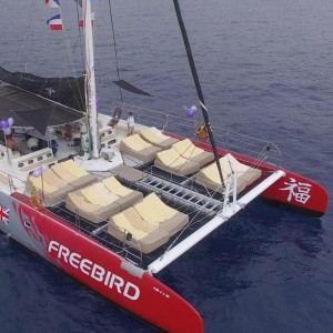 Filet Trampoline - Tahiti 75 (Lot de 6)