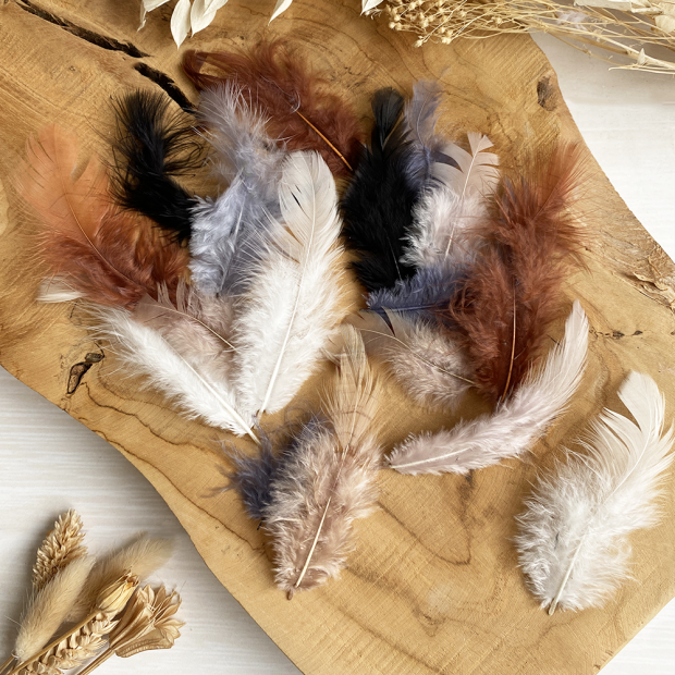 Piume decorative