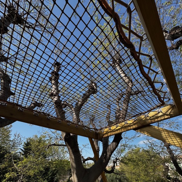 Hammock floor net 30 mm
