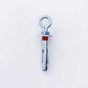 Anchor bolt with ring