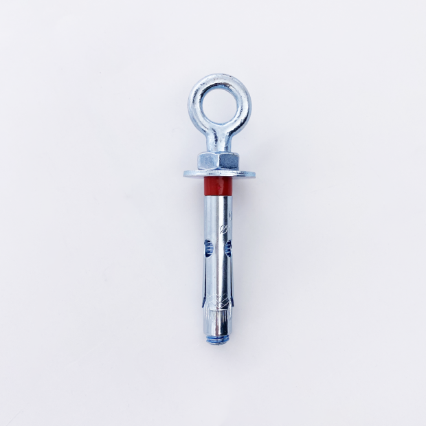 Anchor bolt with ring