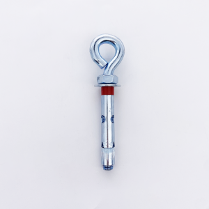 Anchor bolt with closed hook
