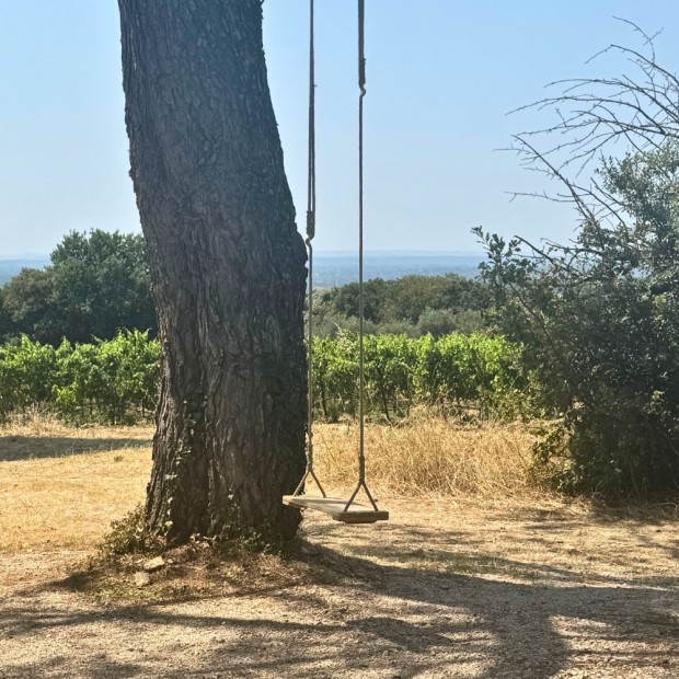 Wooden swing