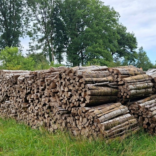 PP Sawmill Twine 6, 8, 9 and 10 strands