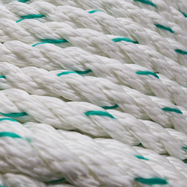 Corda di nylon