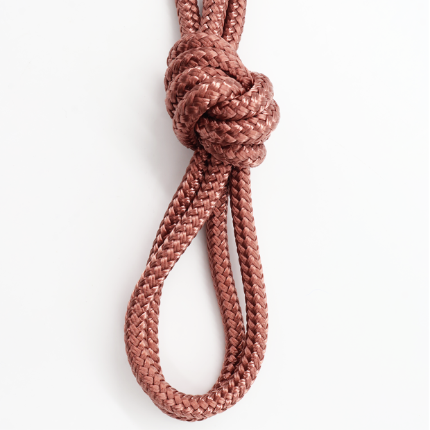 Licol éthologique polyester