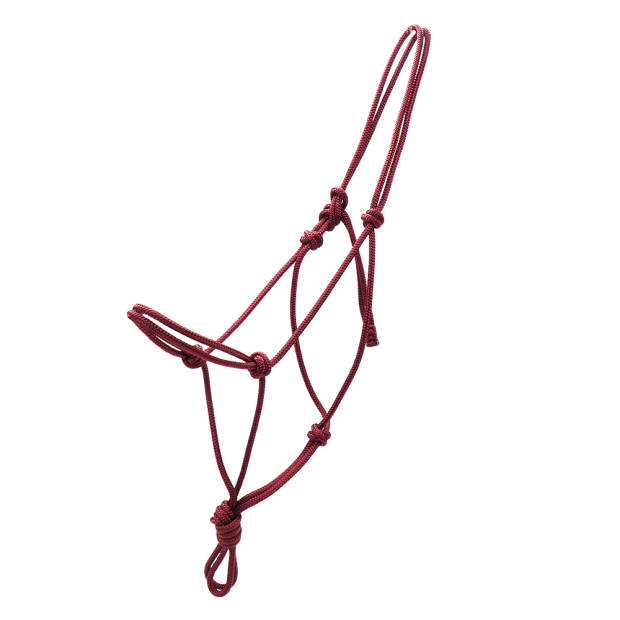 Licol éthologique polyester