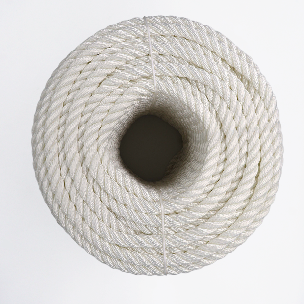 Corde polyester