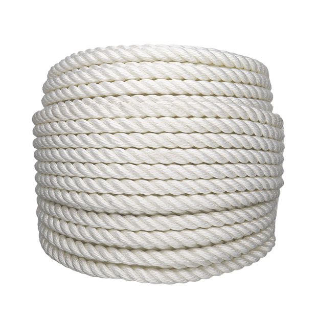 Corde polyester
