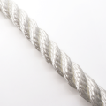 Corde polyester