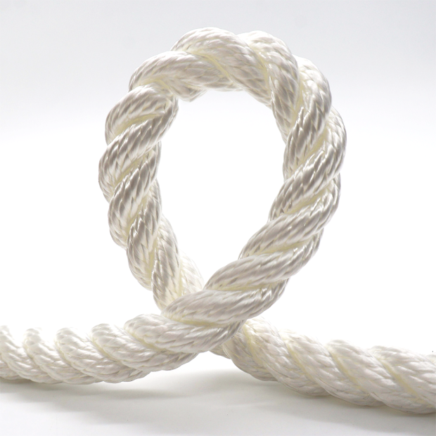 Corde polyester