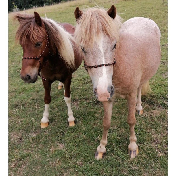 ***DESTOCKAGE*** Polyester bicolor line