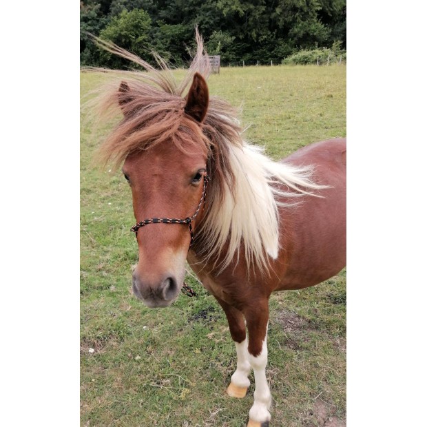 Garcette polyester bicolore ***DESTOCKAGE***