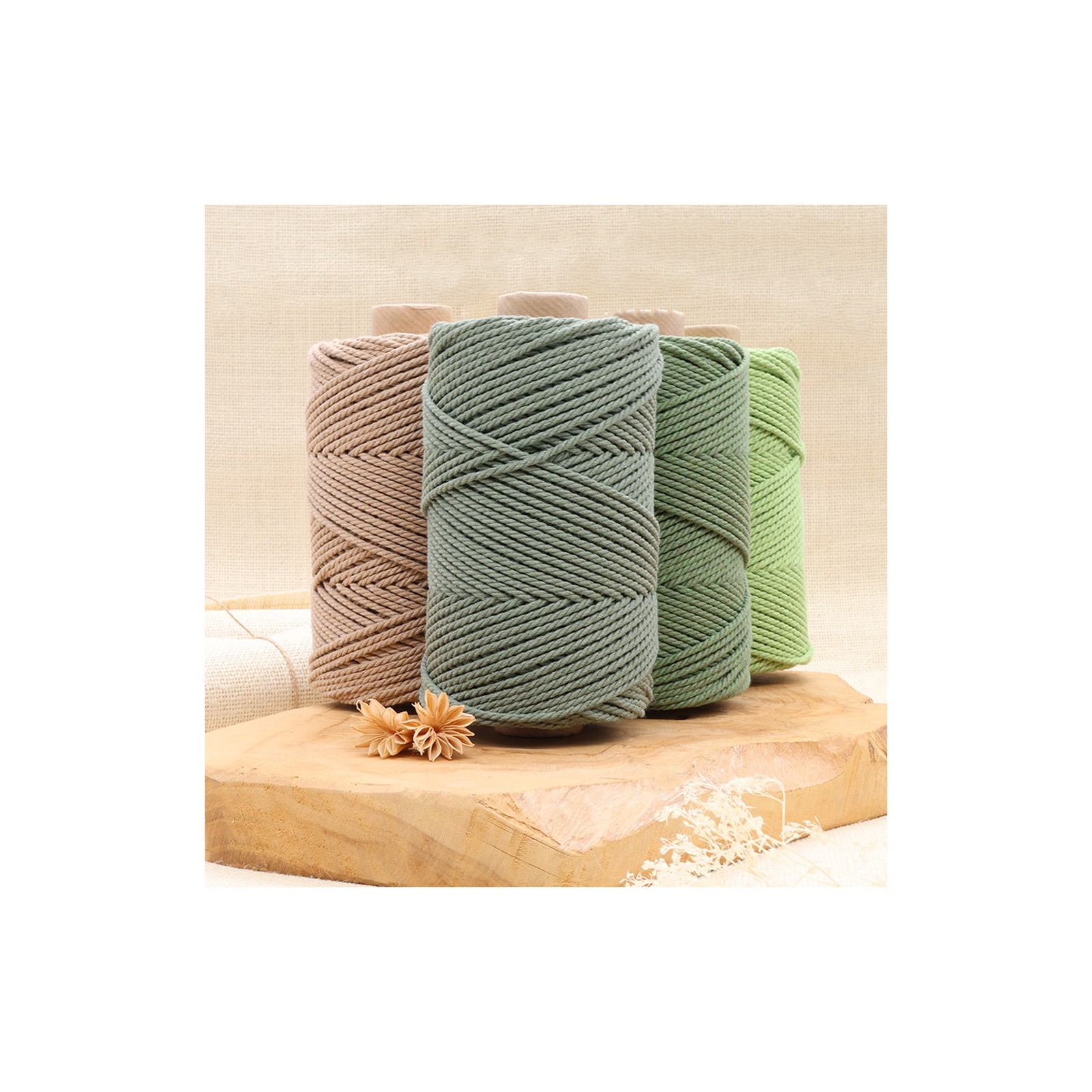 LEXININ Corde Macramé Coton Naturel Torsadé 10 Mm × 50 M – Blanc Épais & Doux