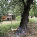 Holzschaukel