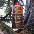 Linseed oil 500ml