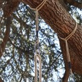 Tree Swing Hanging Kit – Set of 2