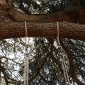 Tree Swing Hanging Kit – Set of 2
