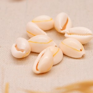 Conchiglia cauri