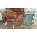 Hay net "bag" shape camel 1x1m