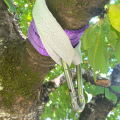 Installation élingues et mousquetons balançoire branche arbre