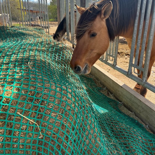 Hay net "Tablecloth" shaped