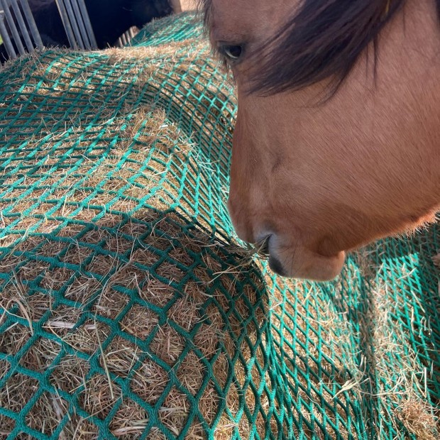 Hay net "Tablecloth" shaped