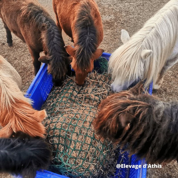 Red de heno - Forma paño cuadrado