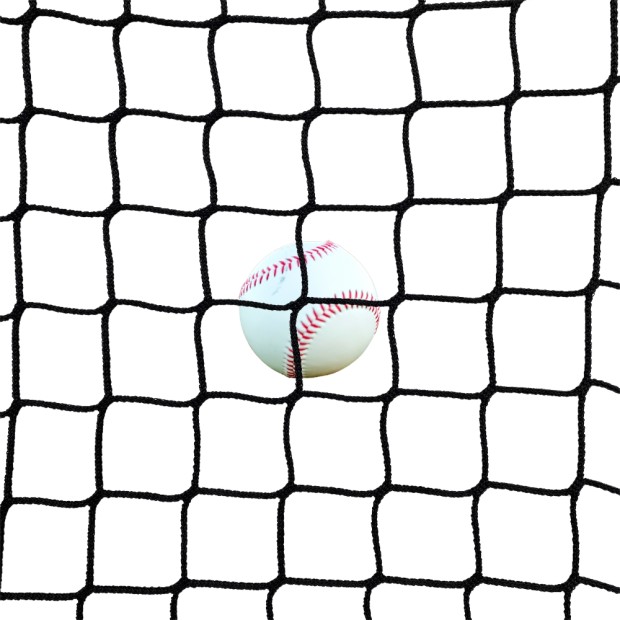 Rete di recinzione di protezione per il baseball