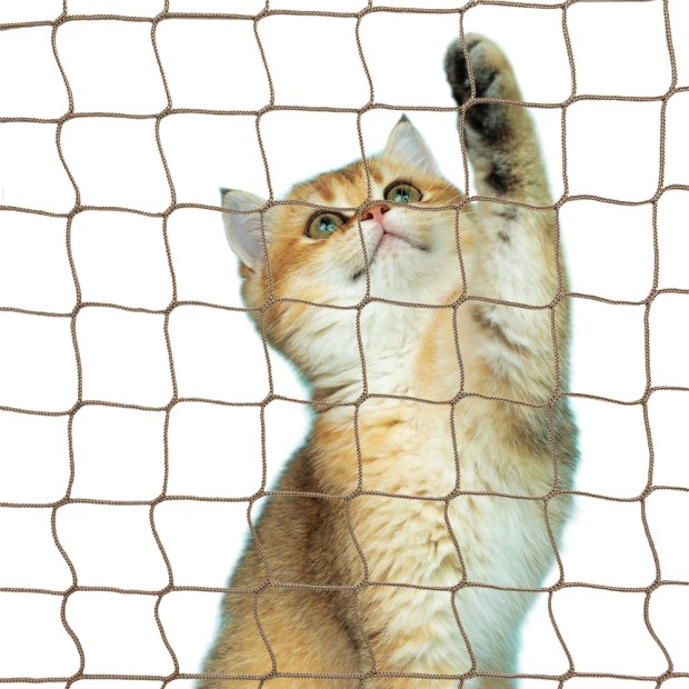 Katzenschutznetz für den Balkon
