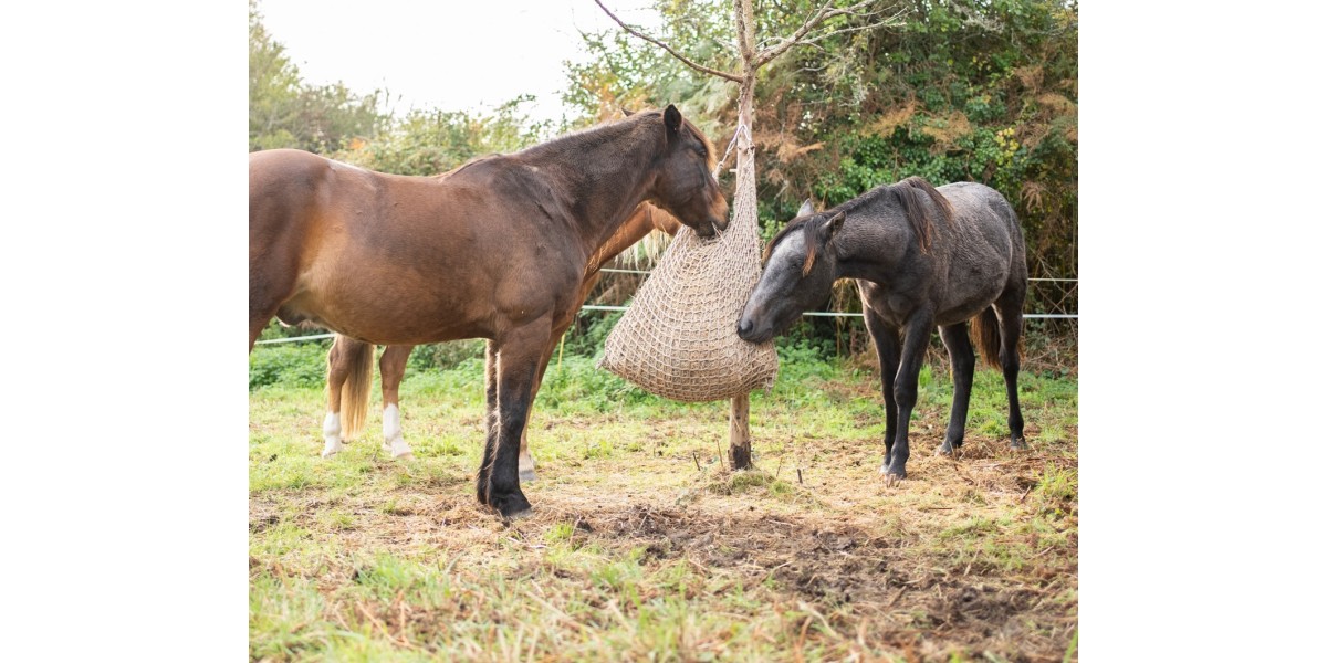 Rope and net for animals - Mansas Ropery